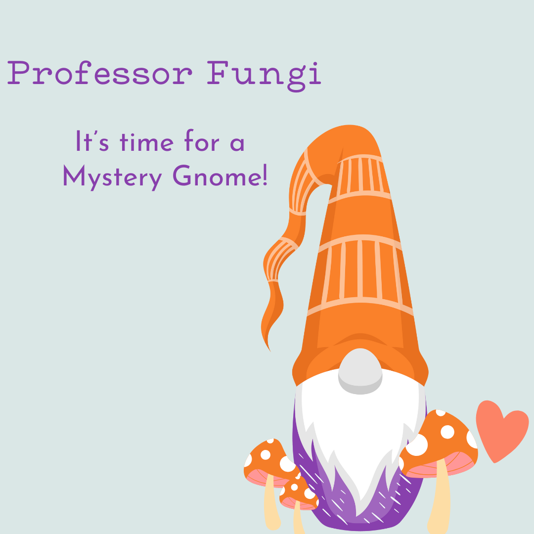 Professor Fungi Gnome MKAL 17 Mini Set