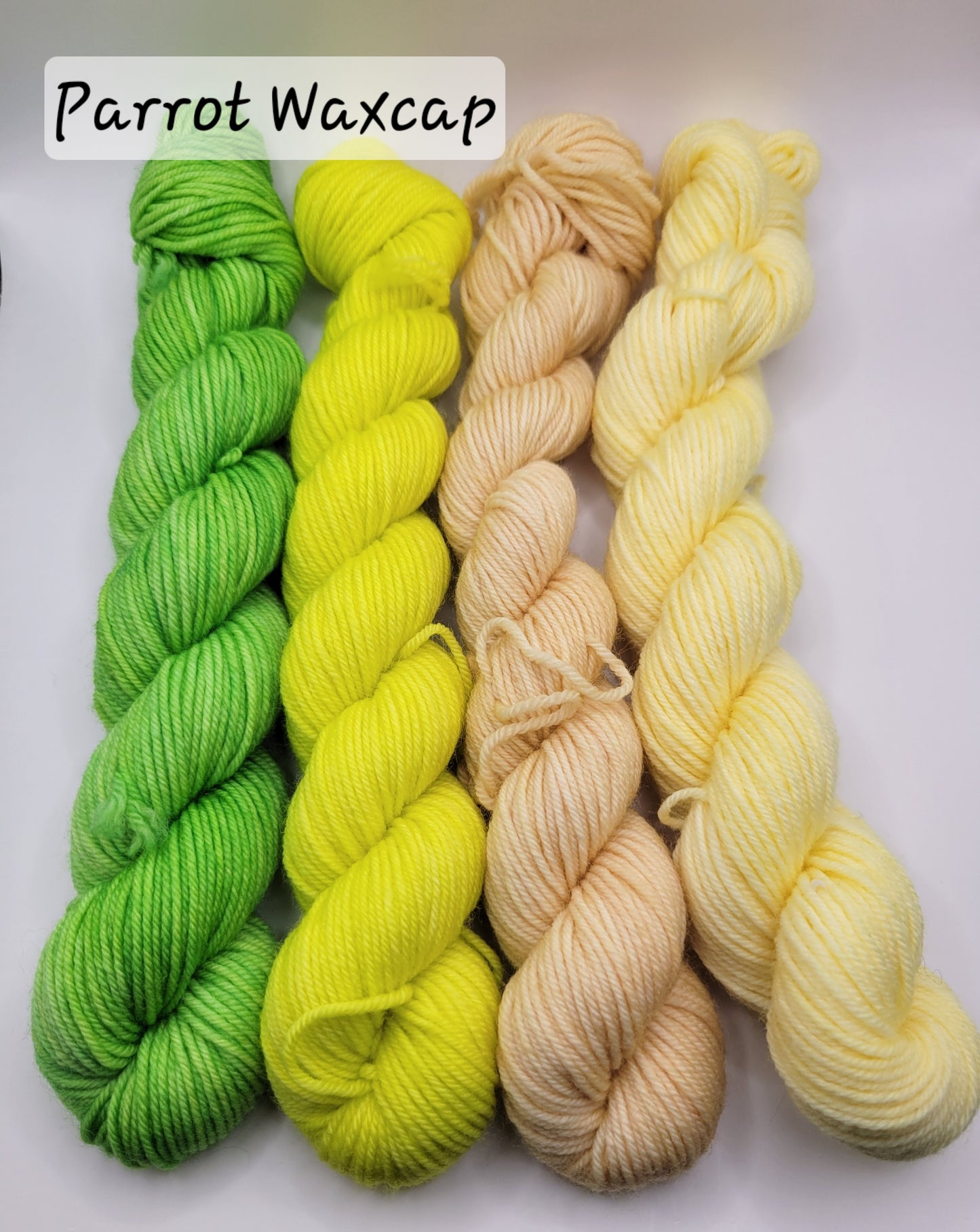 Mushroom Gnome Mini Set