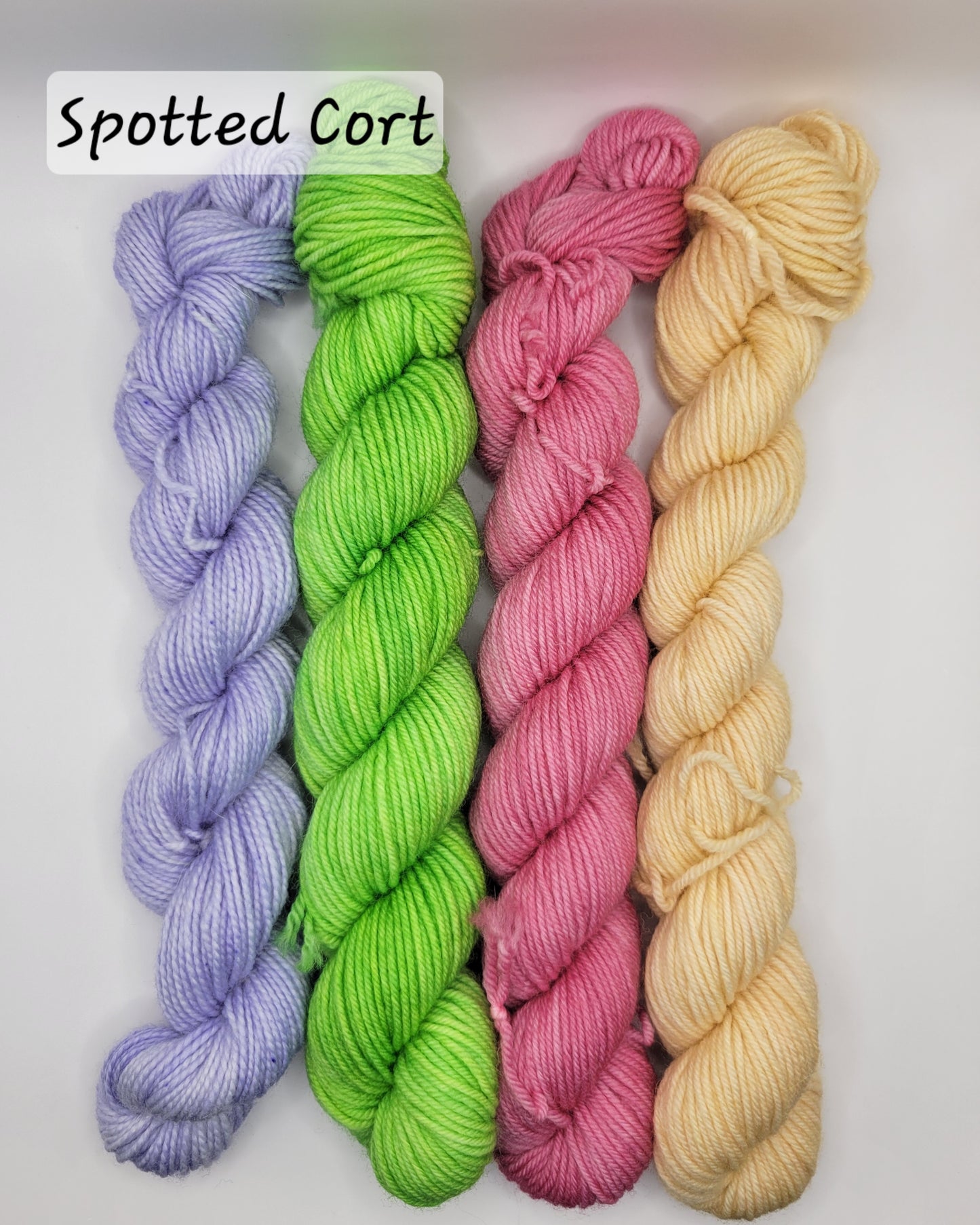 Mushroom Gnome Mini Set